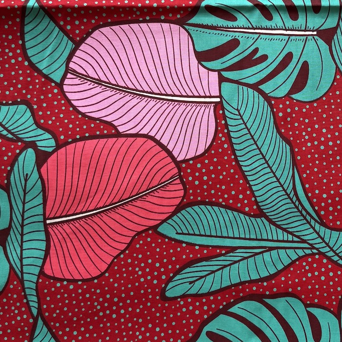 tropics